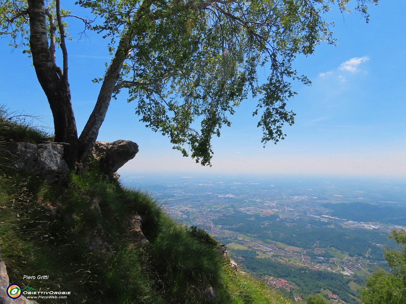 61 Betulla solitaria sul ripido pendio con bella vista sulle colline e la pianura.JPG
